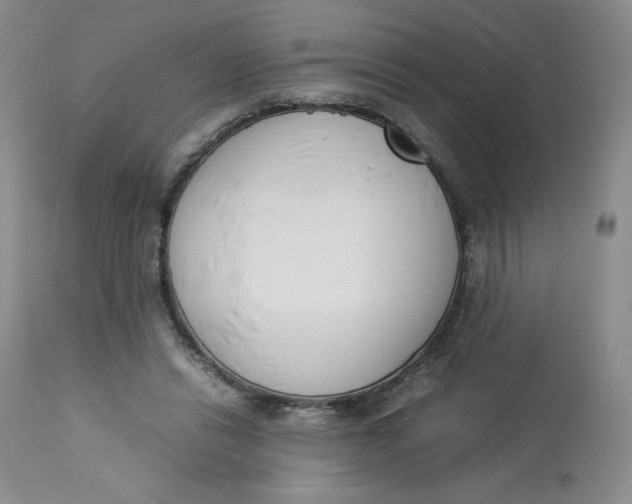 X0000112850446200909111449