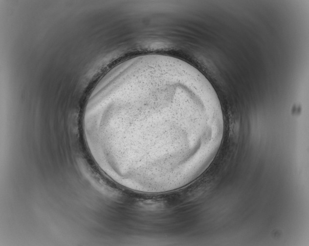 X0000112850447200909111449