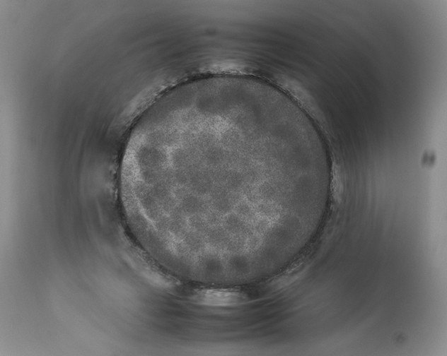 X0000112850449200909111449