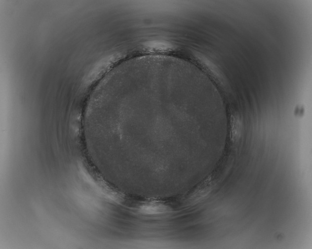 X0000112850451200909111449