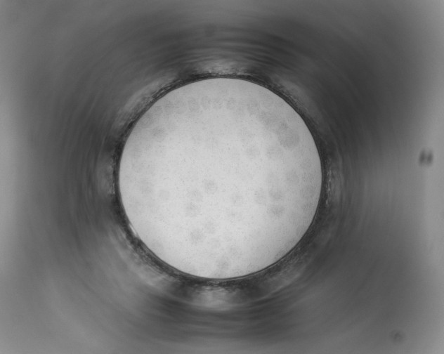 X0000112850453200909111449