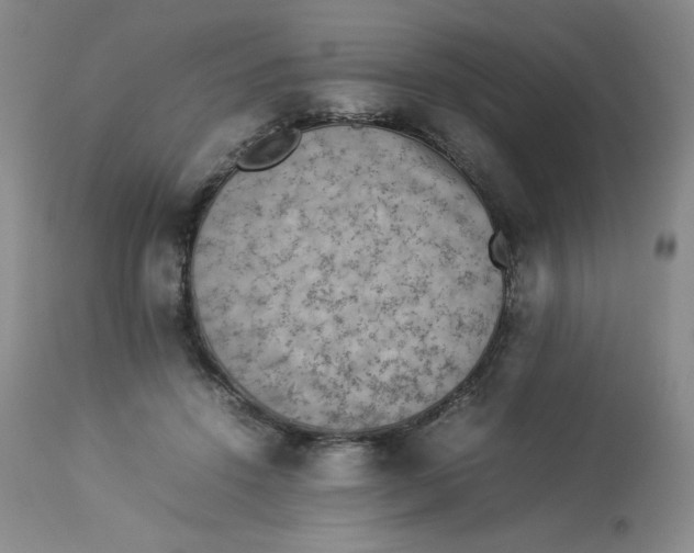 X0000112850456200909111449