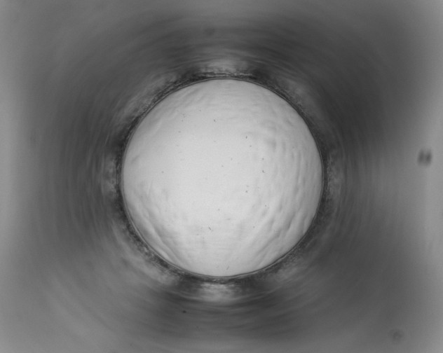 X0000112850457200909111449