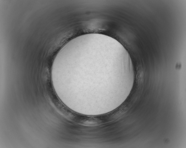 X0000112850459200909111449