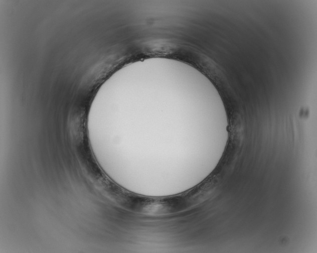 X0000112850460200909111449