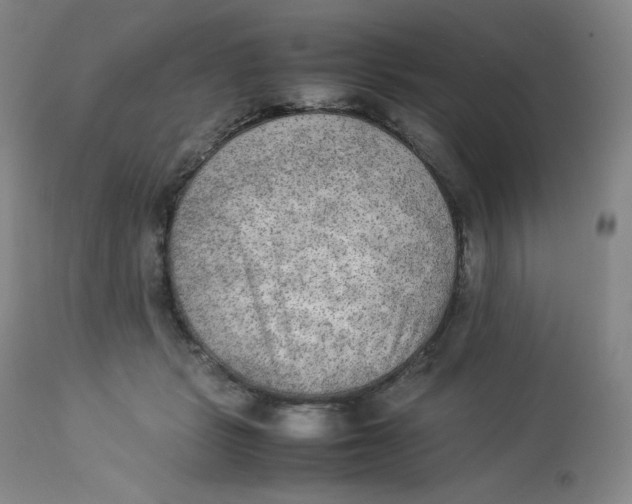 X0000112850461200909111449