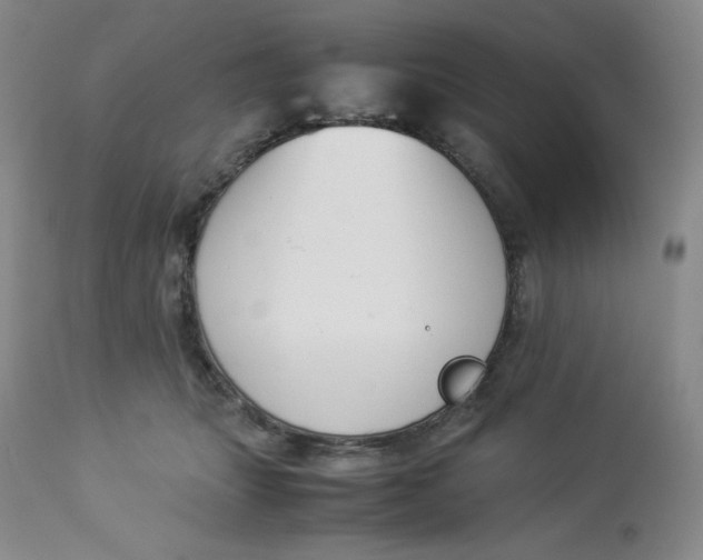 X0000112850463200909111449