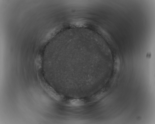 X0000112850465200909111449