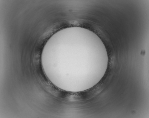 X0000112850466200909111449