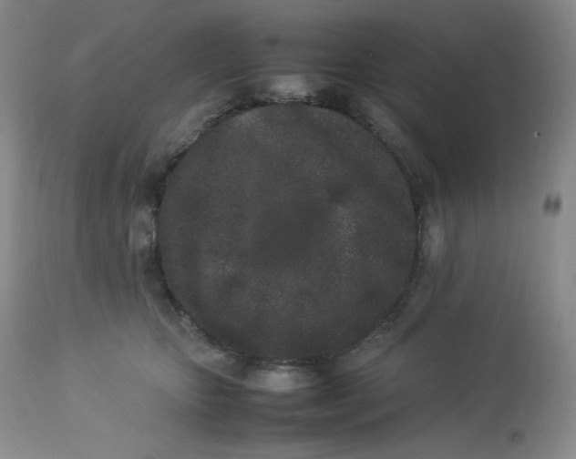 X0000112850467200909111449