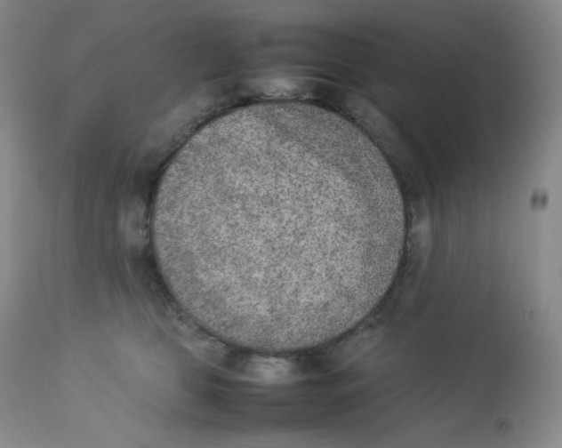 X0000112850469200909111449