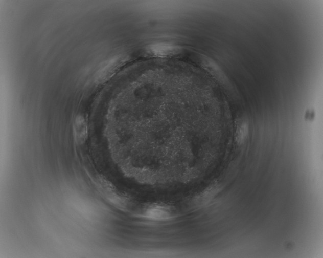 X0000112850471200909111449