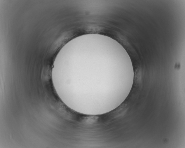 X0000112850474200909111449