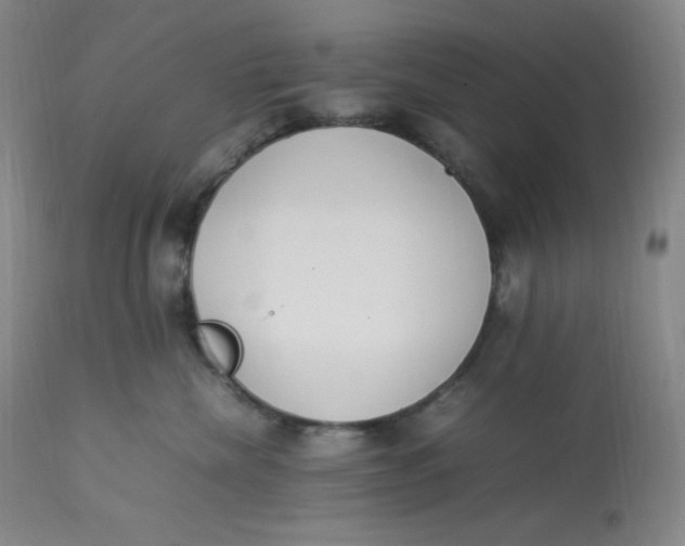 X0000112850476200909111450