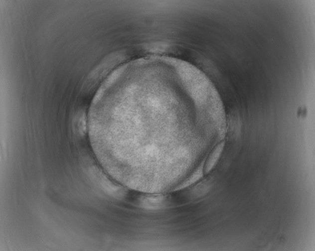 X0000112850479200909111450