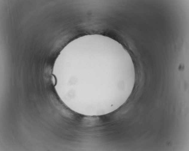 X0000112850480200909111450