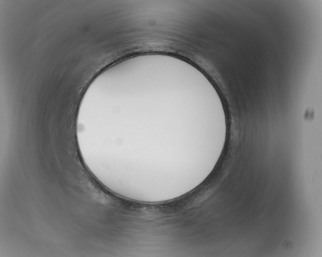 X0000112850481200909111449