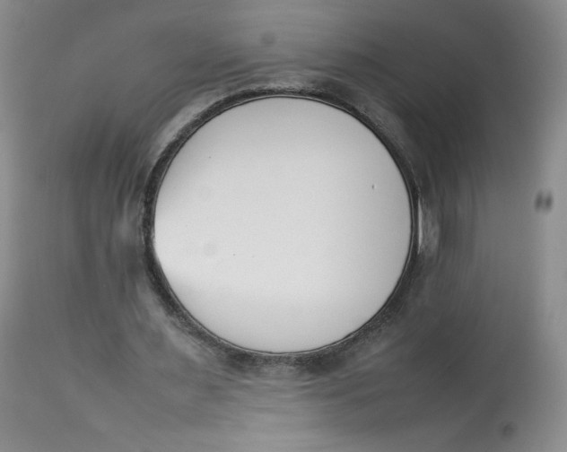 X0000112850483200909111449