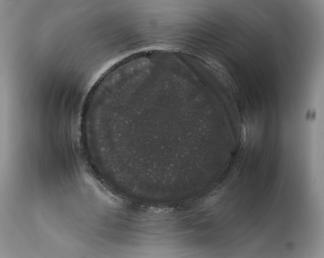 X0000112850484200909111449