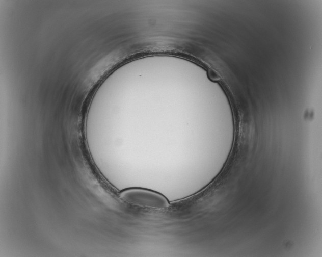 X0000112850485200909111449