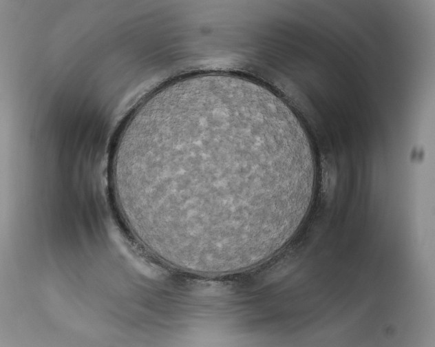 X0000112850486200909111449