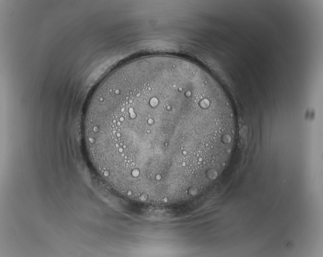 X0000112850487200909111449