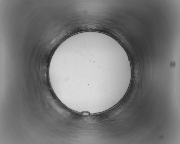 X0000112850489200909111449