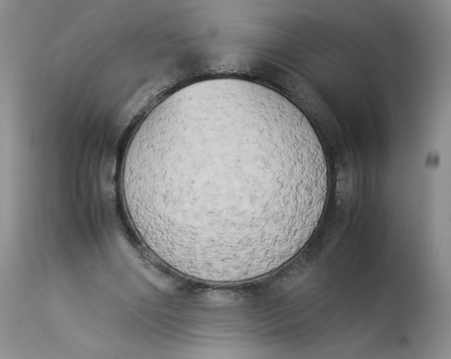 X0000112850490200909111449