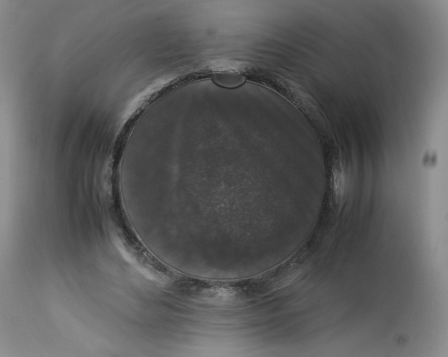 X0000112850492200909111449