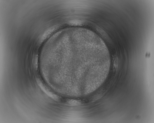 X0000112850494200909111449