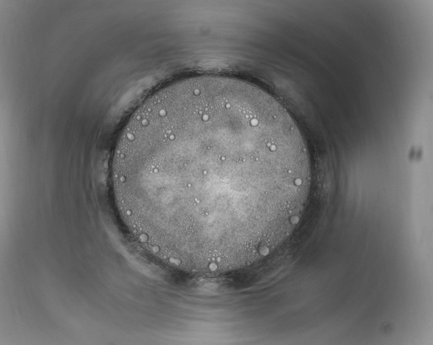 X0000112850495200909111449