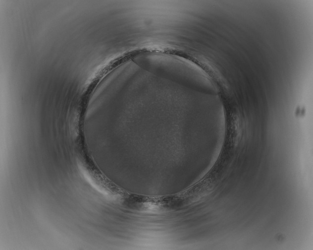 X0000112850496200909111449