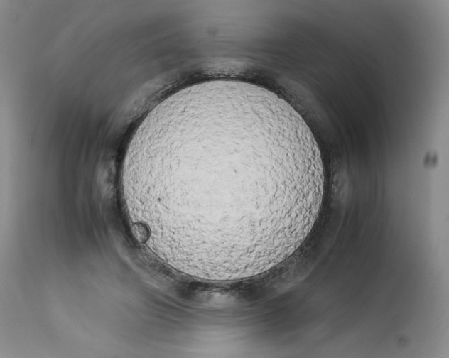 X0000112850498200909111449