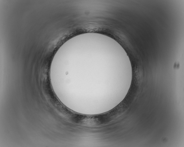 X0000112850499200909111449