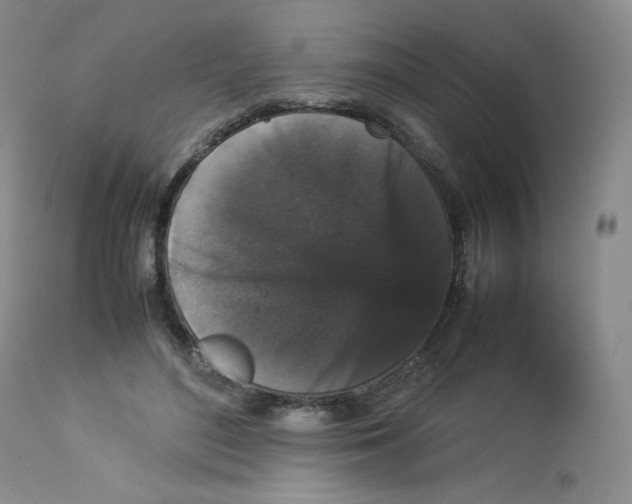 X0000112850500200909111449