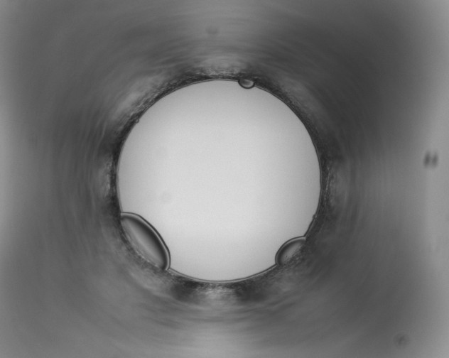 X0000112850501200909111449