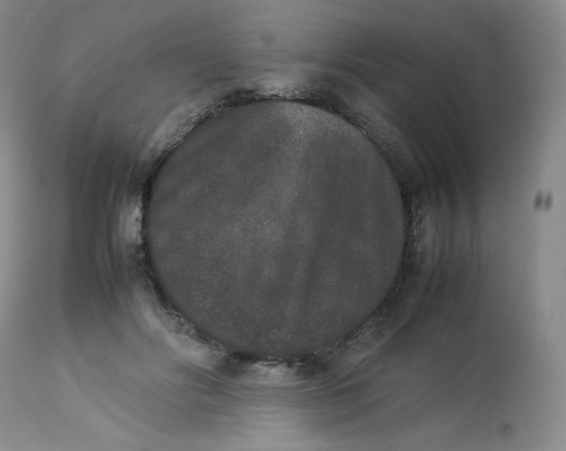 X0000112850502200909111449