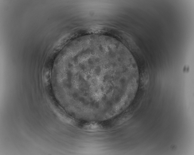 X0000112850503200909111449