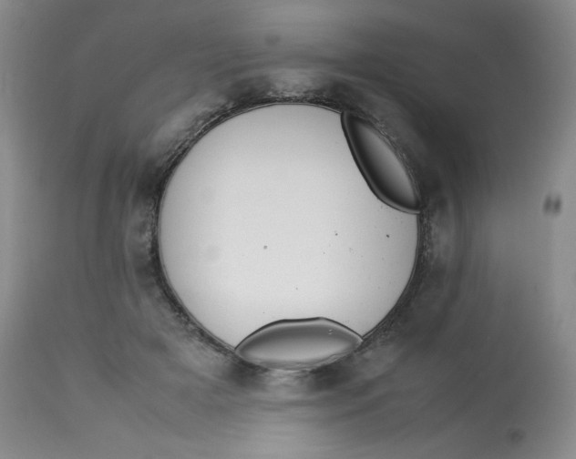 X0000112850505200909111449