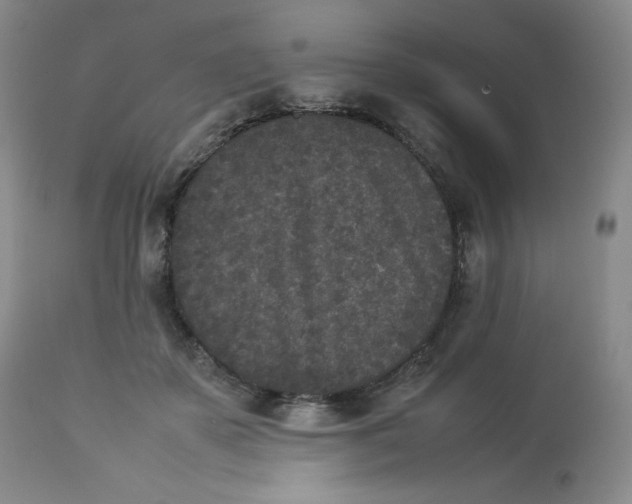 X0000112850507200909111449