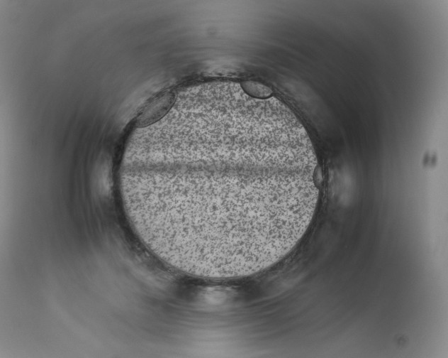 X0000112850508200909111449