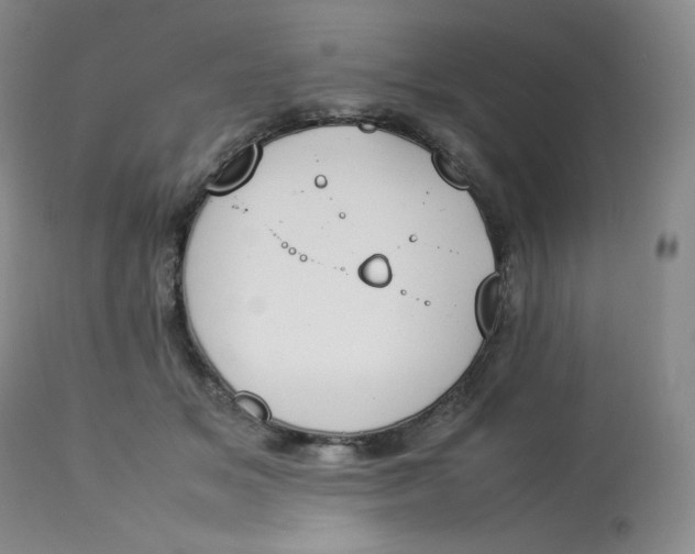 X0000112850509200909111449