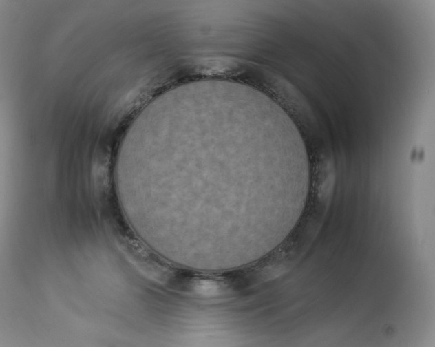 X0000112850510200909111449