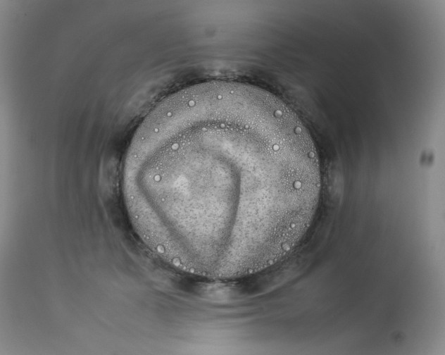 X0000112850511200909111449