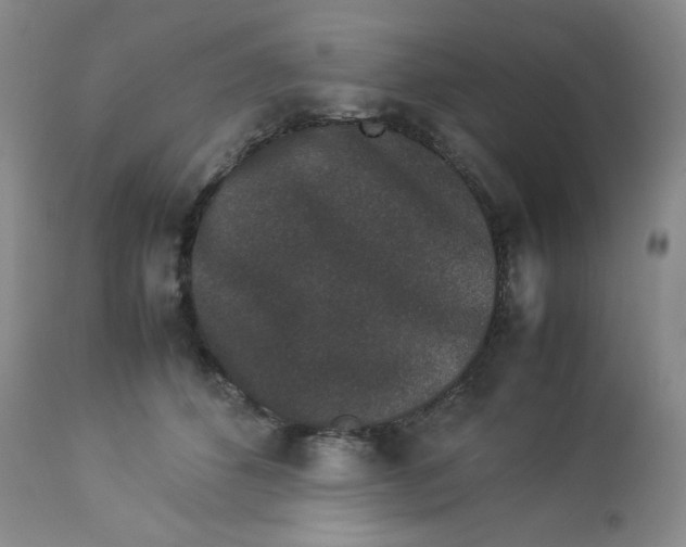 X0000112850512200909111448