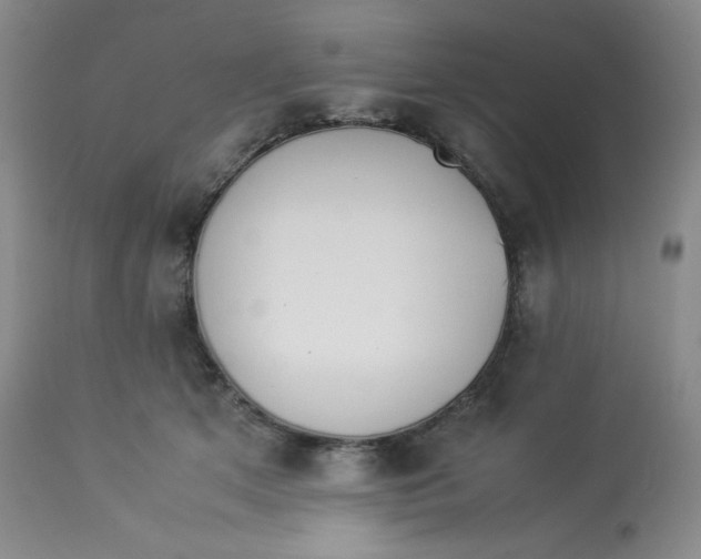 X0000112850513200909111448