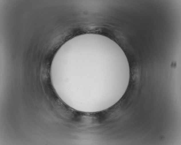 X0000112850515200909111448