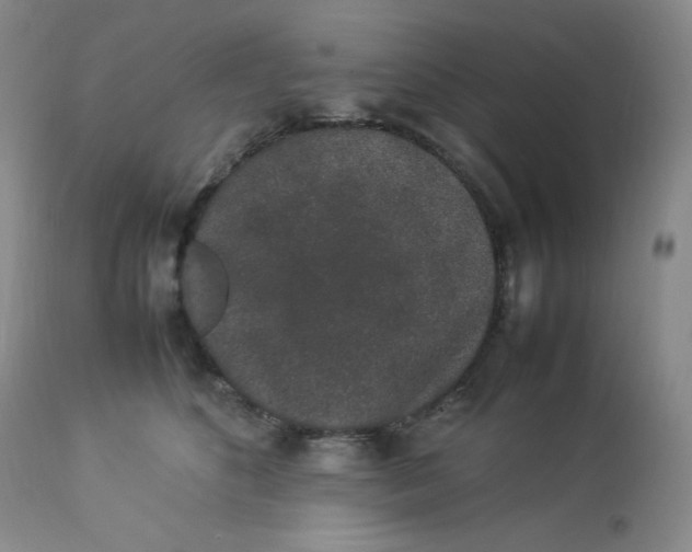 X0000112850516200909111448