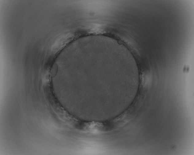 X0000112850517200909111448