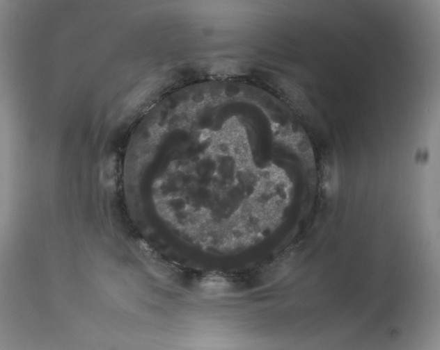 X0000112850519200909111448